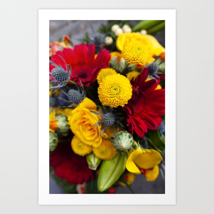 Floral IV  /  The Fresh Flower Collection Art Print