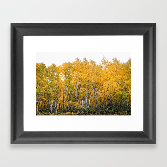 Fall Color in the Sierras Framed Art Print
