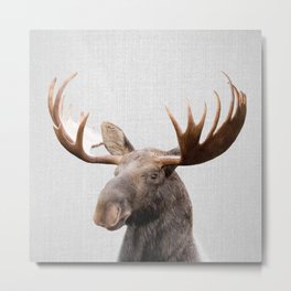 Moose - Colorful Metal Print | Color, Digital, Horns, Wildlife, Photo, Abstract, Minimal, Antler, Modern, Forest 