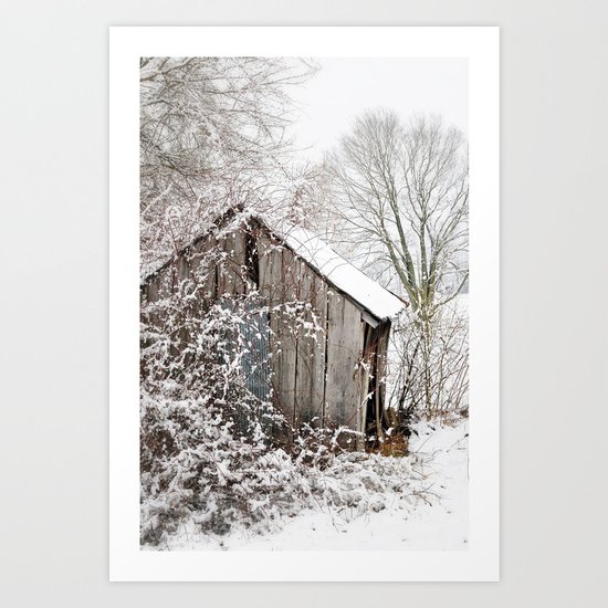 The Wooden Shed Art Print
