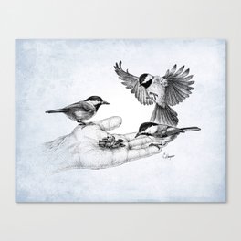 Chickadees Hand Feeding Canvas Print