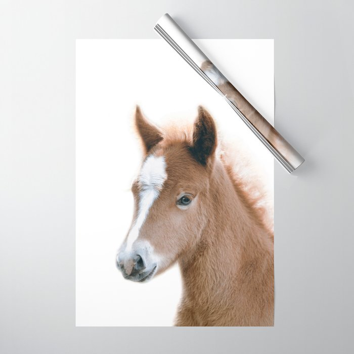 Baby Horse, Foal, Farm Animals, Art for Kids, Baby Animals Art Print By Synplus Wrapping Paper