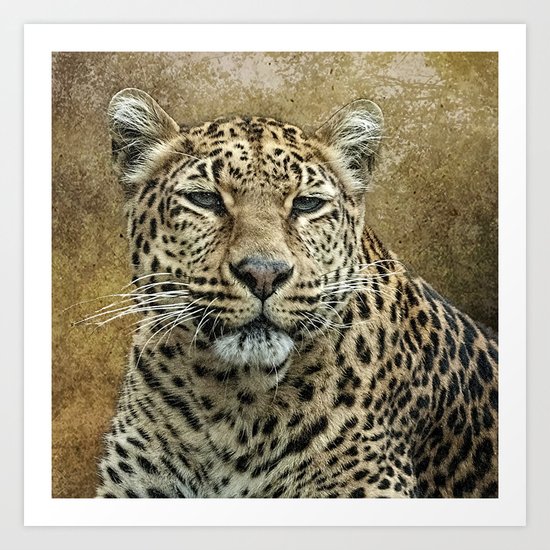 Leopard Art Print