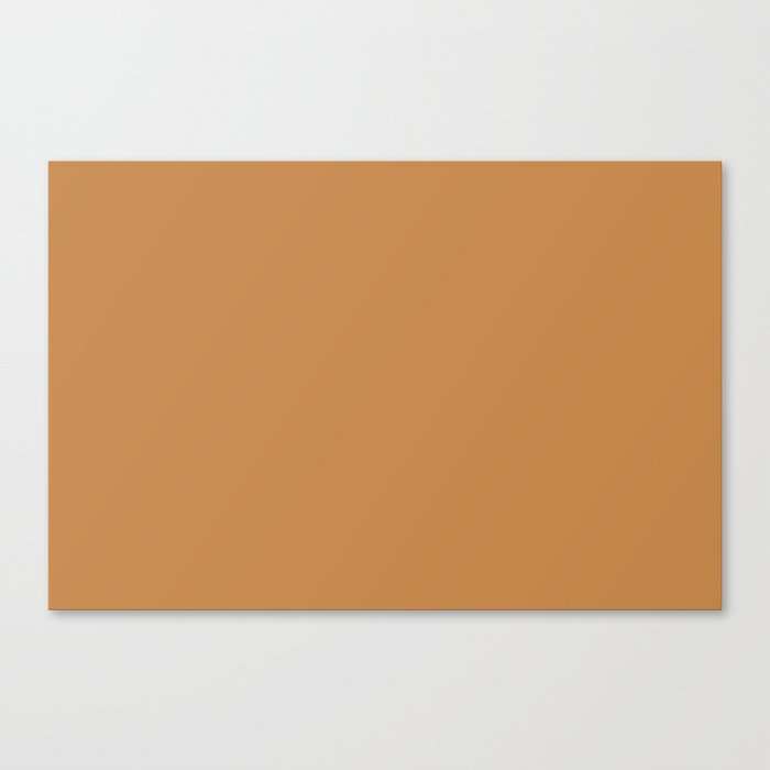 Dark Brown Solid Color Pairs w/ Sherwin Williams 2019 / 2020