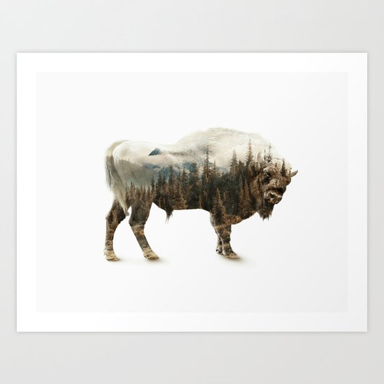 Bison Art Print