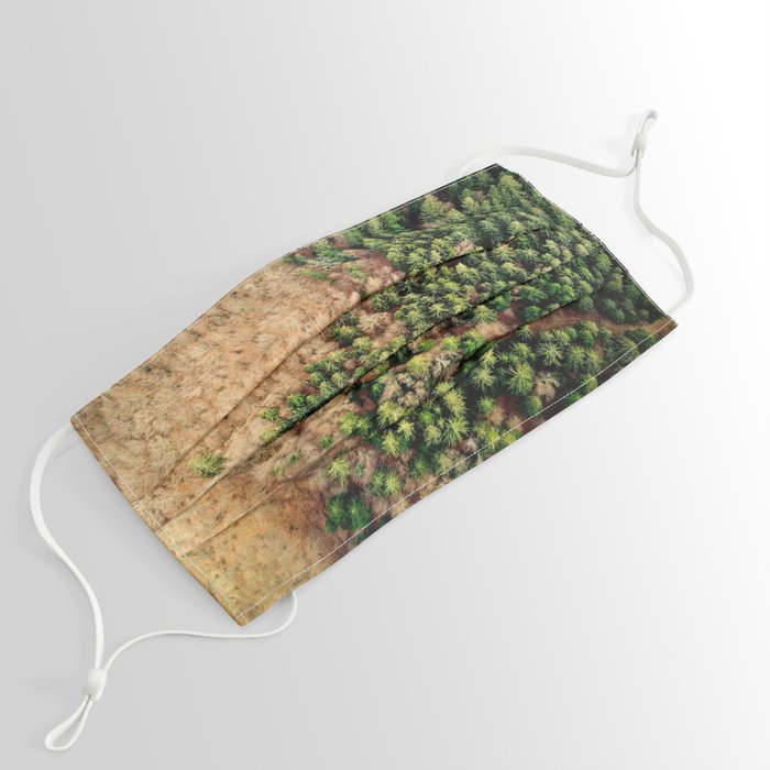 Aerial view of spruce forest landscape Face Mask