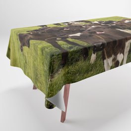 New Zealand Photography - Flock Of Cows On The Grassy Field Tablecloth