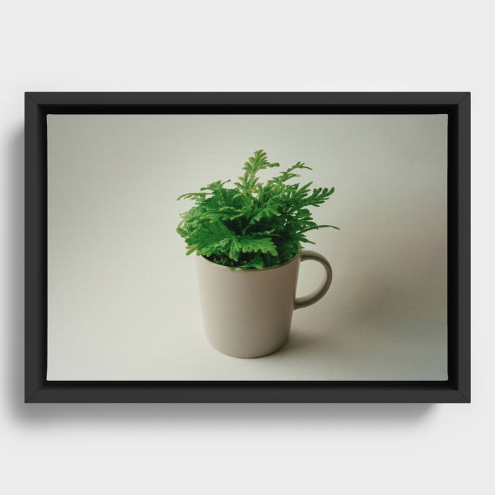 A cup of plant Framed Canvas