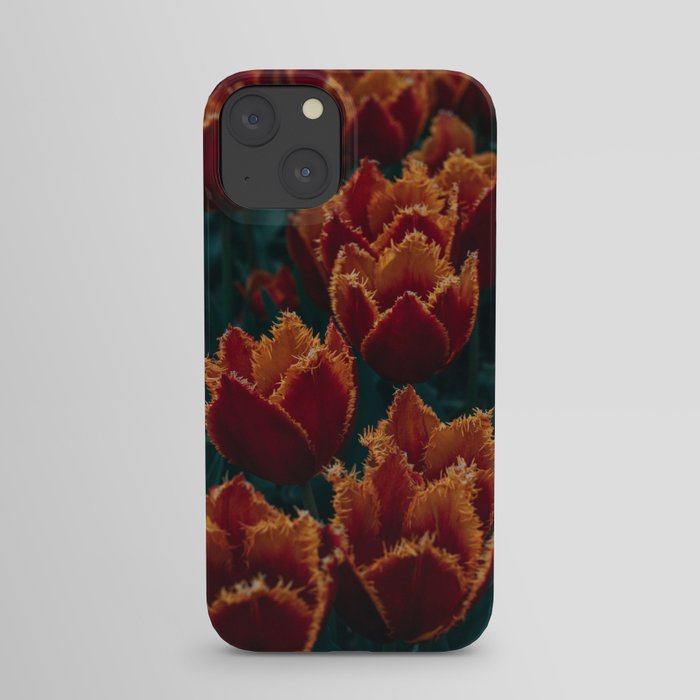 Fuzzy Tulips iPhone Case