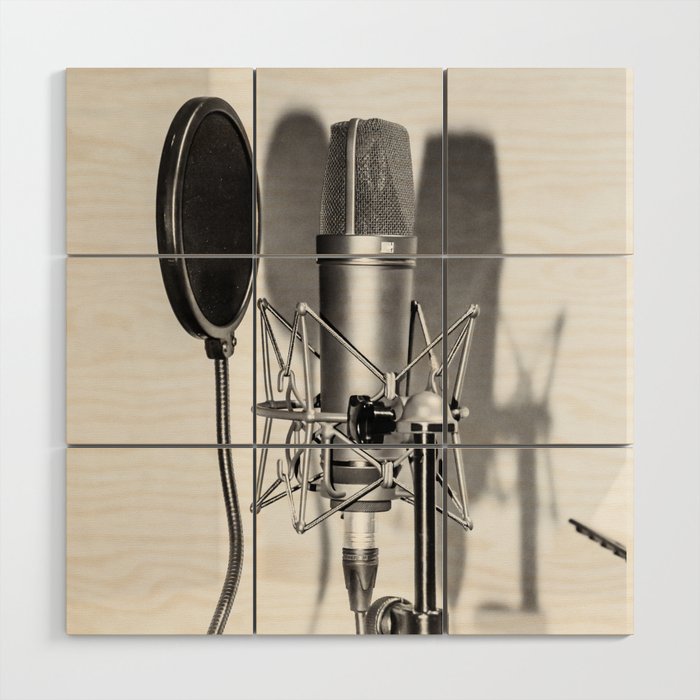 Microphone black and white photo Wood Wall Art