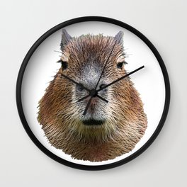 Capybara Face Hairy Front Classy Axpect Mammal Wall Clock