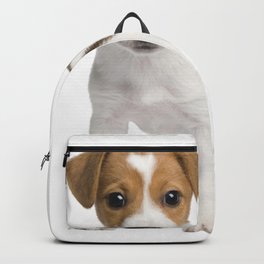 Brown and white puppy, Russell Terrier Miniature Terrier Bull Terrier Chihuahua Rat Terrier, puppy, animals, carnivoran, pet Backpack | White, Dog, Adorable, Puppy, Breed, Poodlemix, Cute, Pet, Brown, Shihtzu 