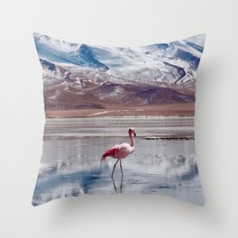 Flamingos in Lagoon in Salt Flats, Bolivia. Salar de Uyuni flamingos. Bolivia.  Throw Pillow