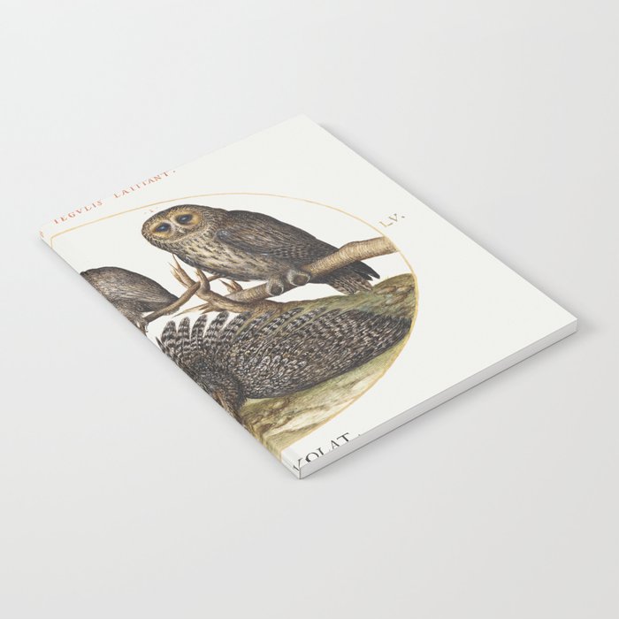 Four Owls Notebook