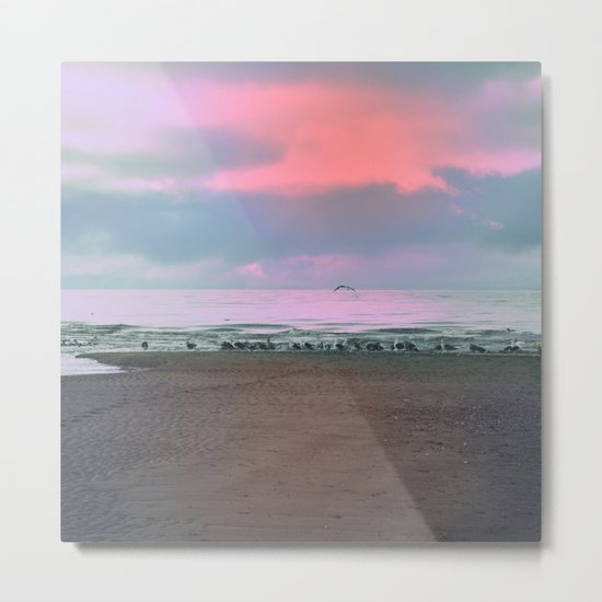 The Seagulls 4 Metal Print