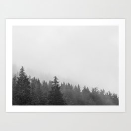 Black and White Foggy Forest Art Print