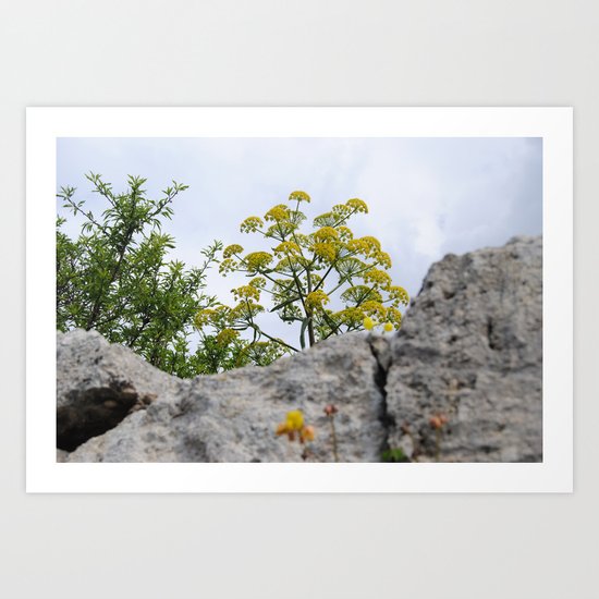 A yellow small tree Art Print