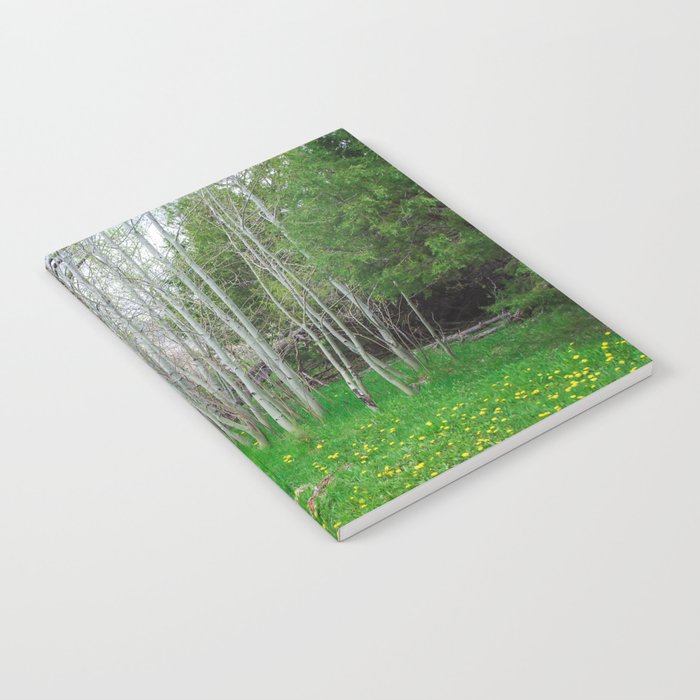 Birch Grove and Wildflowers Notebook
