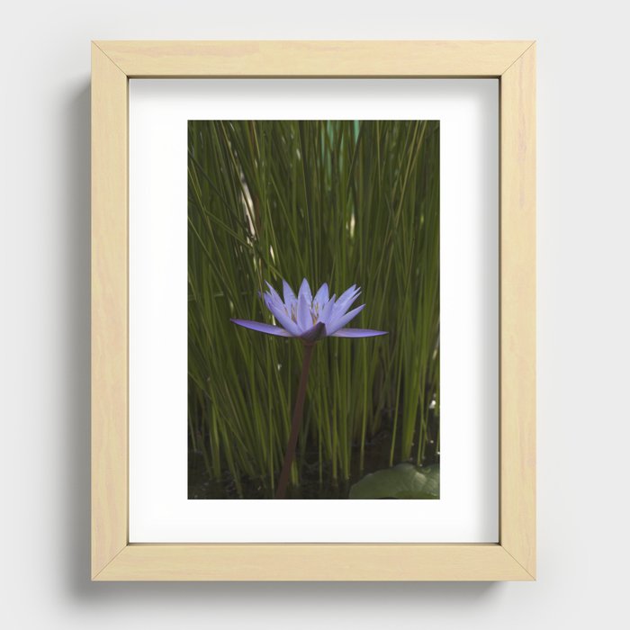 Lilly Recessed Framed Print