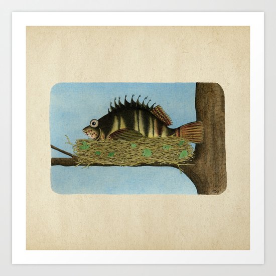 Hawkfish Art Print
