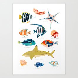 Sea Life of Fiji Art Print