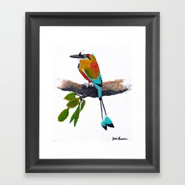 Torogoz - Bird Framed Art Print