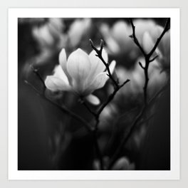  Flower in Black and White Art Print