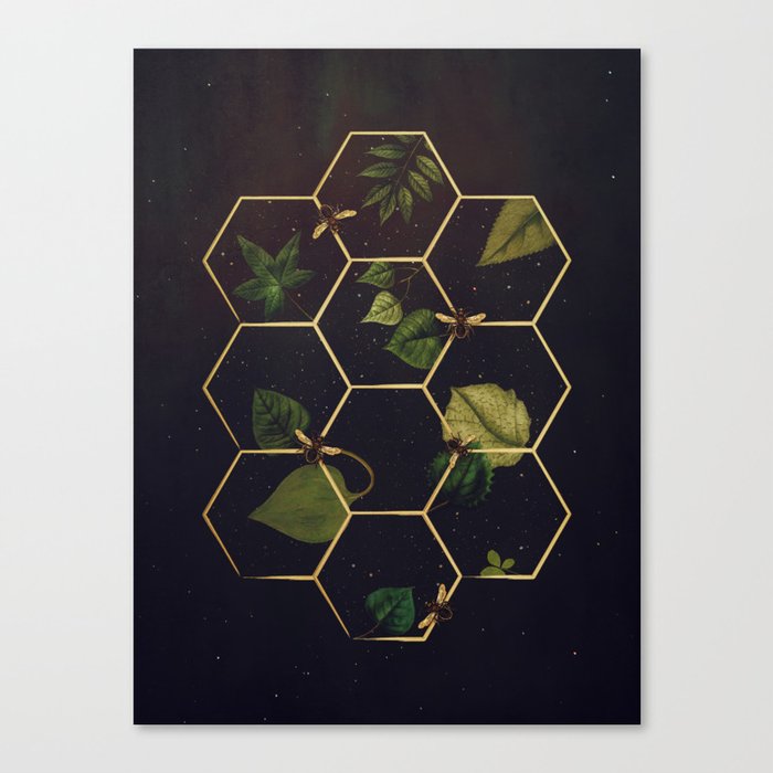 Bees in Space Canvas Print