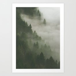 Mist between the pines Art Print