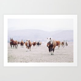 Wild horses Art Print | Outdoors, Color, Animal, Photo, Film, Field, Horse, Countryside, Wild 