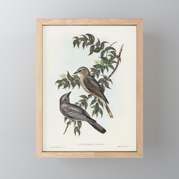 Framed Mini Art Print