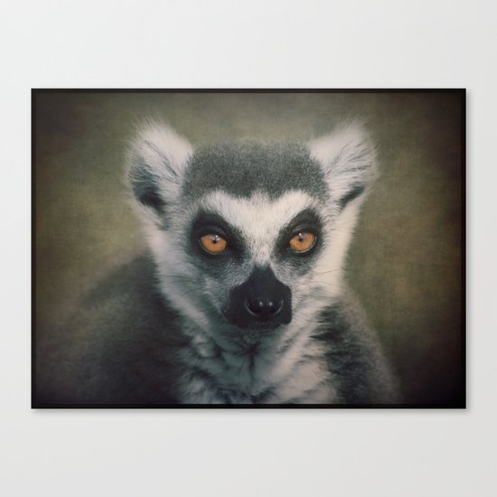 Portrait of a Lemur Canvas Print