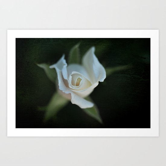 Listener Art Print
