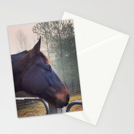 Foggy Morning Horse Stationery Cards