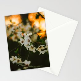 Cherry Blossom Sunset Stationery Cards