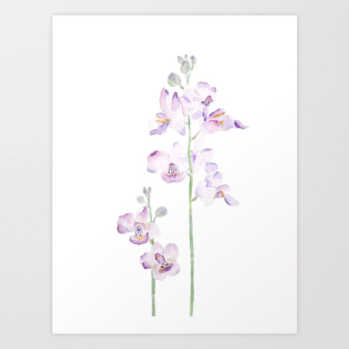 purple orchid watercolor  Art Print
