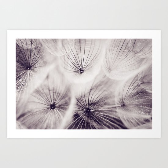 Expand Art Print