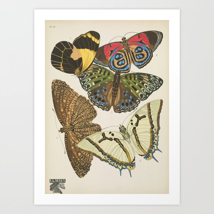 Butterfly Print by E.A. Seguy, 1925 #3 Art Print