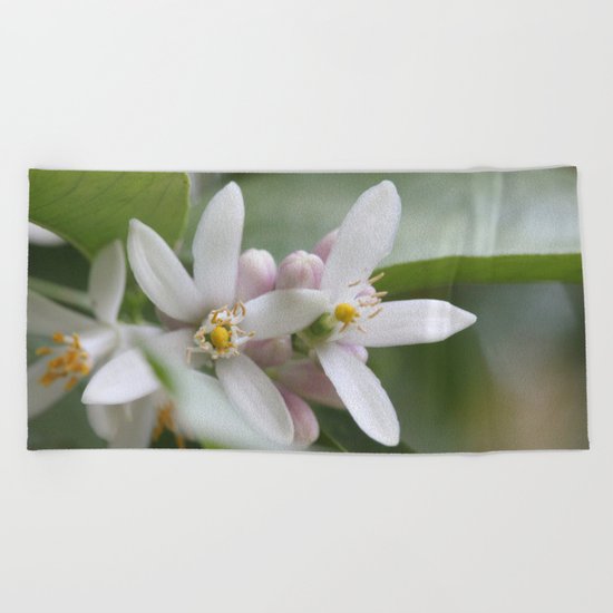Angels Beach Towel
