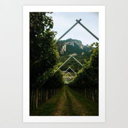 A look through a vineyard in Arco, Italy Art Print