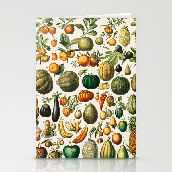 Fruit Chart Stationery Cards