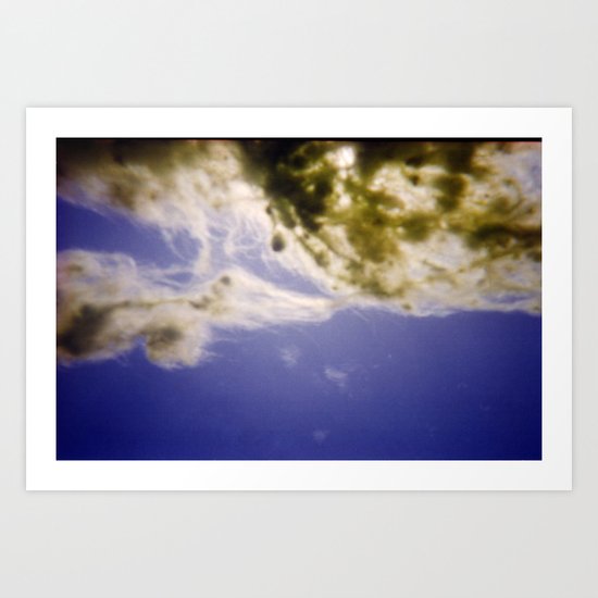 Seaweed Art Print