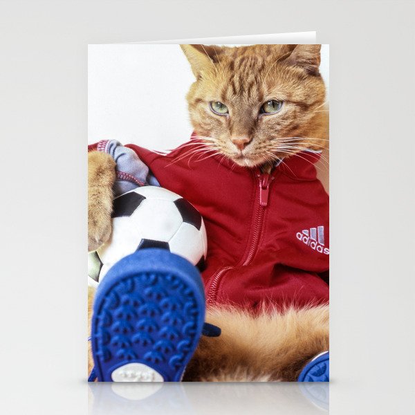The Cat is #Adidas Stationery Cards