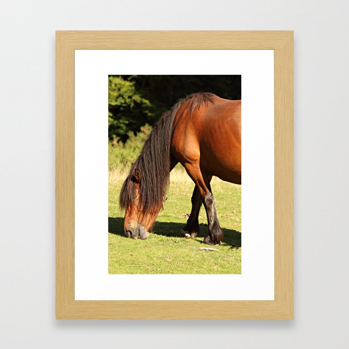 Horse eating Framed Art Print