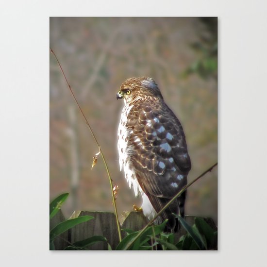 A Hunter in a Farmer's World Canvas Print