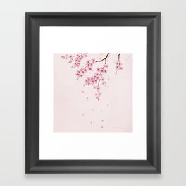 Cherry Blossom 2  Framed Art Print