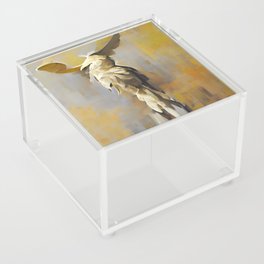 Winged Victory Abstract Aesthetic No1 Acrylic Box