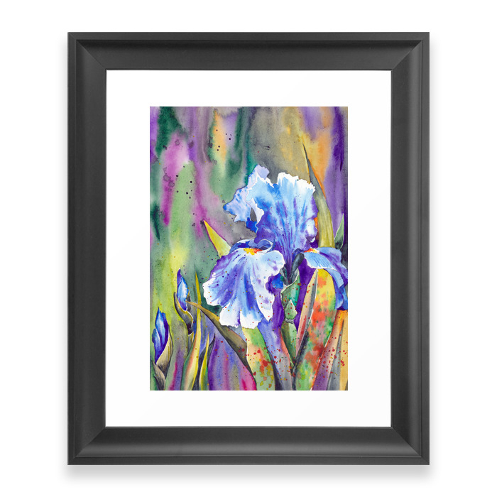 Watercolor Iris Flower Framed Art Print by jeannadano