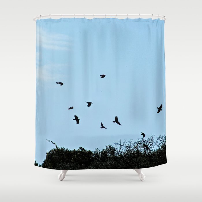 Ravens Flying Birds Over Trees Shower Curtain