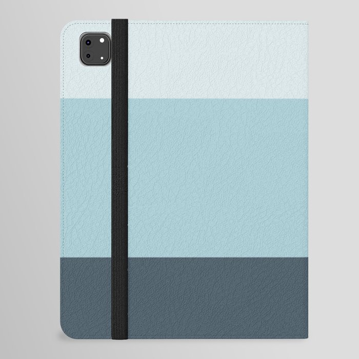 Winter Seafoam Landscapes iPad Folio Case